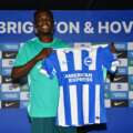Só fez 13 jogos na Liga Sueca e ruma ao Brighton por 25 ME