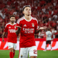 Benfica volta a esmagar; Prestianni brilhou; Durán estreou-se a marcar; Tomás Araújo, Rafa, Schjelderup e Pavlidis também faturaram; Barreiro esteve novamente em destaque